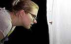 At dusk, Dr. Till Tolasch and Martin Sauter make a wide variety of insect species visible by insect glowing - a fascinating experience in a special atmosphere (Photo: Astrid Untermann).