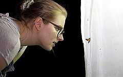 In der Dämmerung machen Dr. Till Tolasch und Martin Sauter beim Insekten-Leuchten auch seltene Insekten sichtbar – ein faszinierendes Erlebnis bei wunderbarer Athmosphäre (Foto: Astrid Untermann).