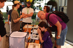 Microscopy station with prepared insect specimens ©KomBioTa