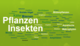 Beim internen Kick-off von KomBioTa zeigte sich, wie vielfältig die notwendige taxonomische Expertise zur Rettung der Artenkenntnis in KomBioTa schon heute ist. Das macht Mut für einen optimistischen Blick in die Zukunft der Biodiversität!